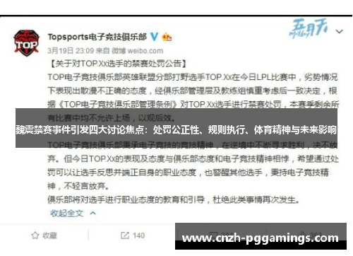 魏震禁赛事件引发四大讨论焦点：处罚公正性、规则执行、体育精神与未来影响