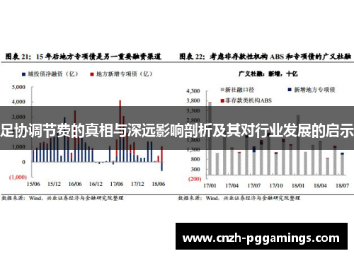 足协调节费的真相与深远影响剖析及其对行业发展的启示